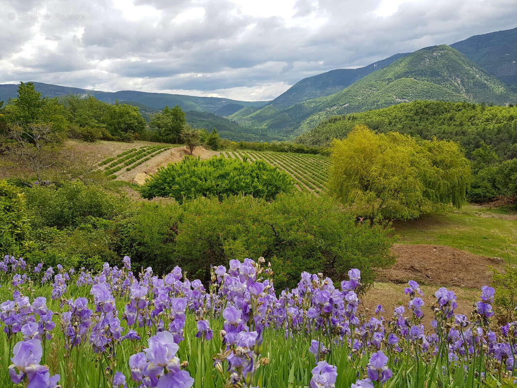 Maison à VAISON-LA-ROMAINE