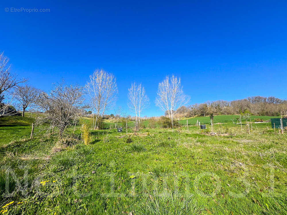 Terrain à PUYLAURENS