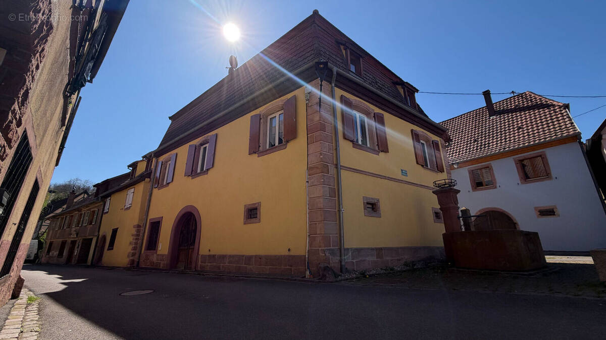 Maison à RIBEAUVILLE