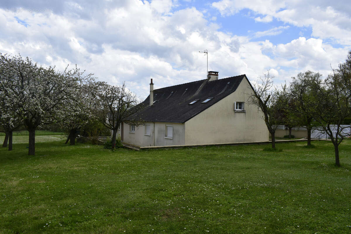 Maison à BOURGUEIL
