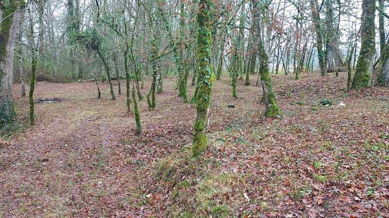 Terrain à vendre de 1 255,00 m² BALADOU (46) - photo 2
