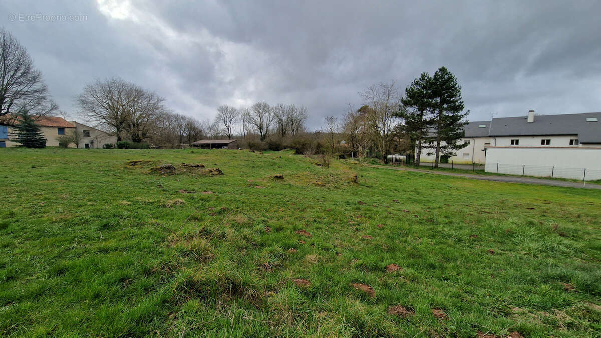 Terrain à LE CAYLAR