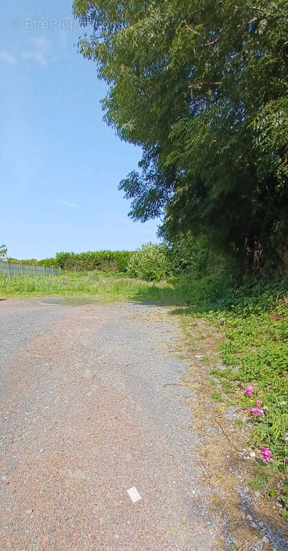 Appartement à SAULTAIN