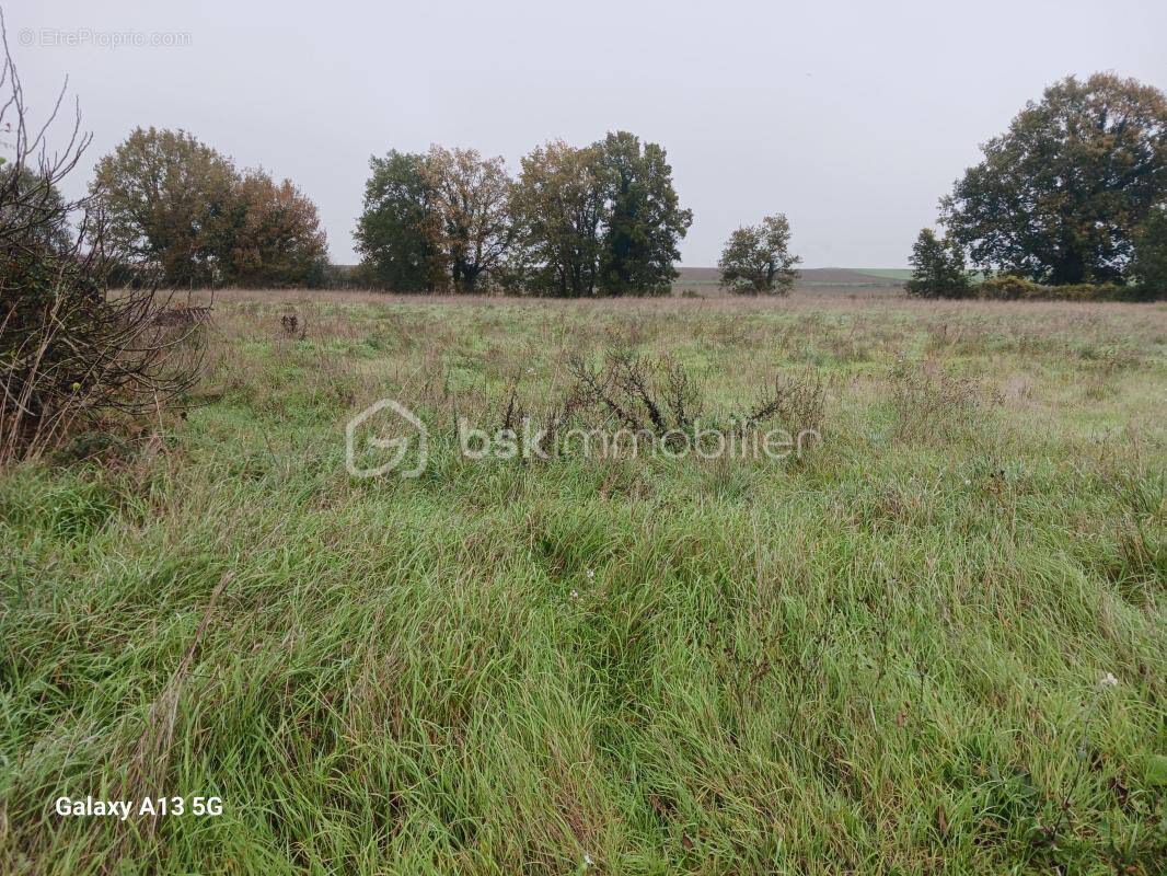 Terrain à DOUSSAY