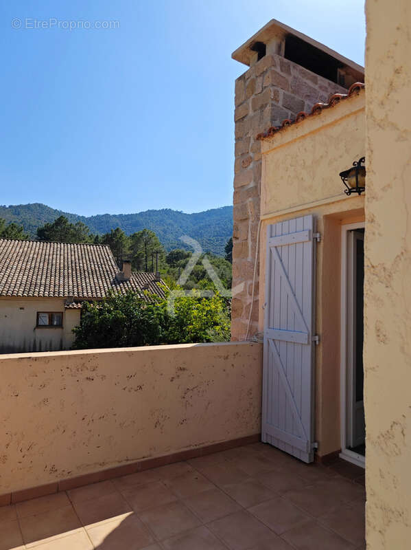 Maison à ZONZA