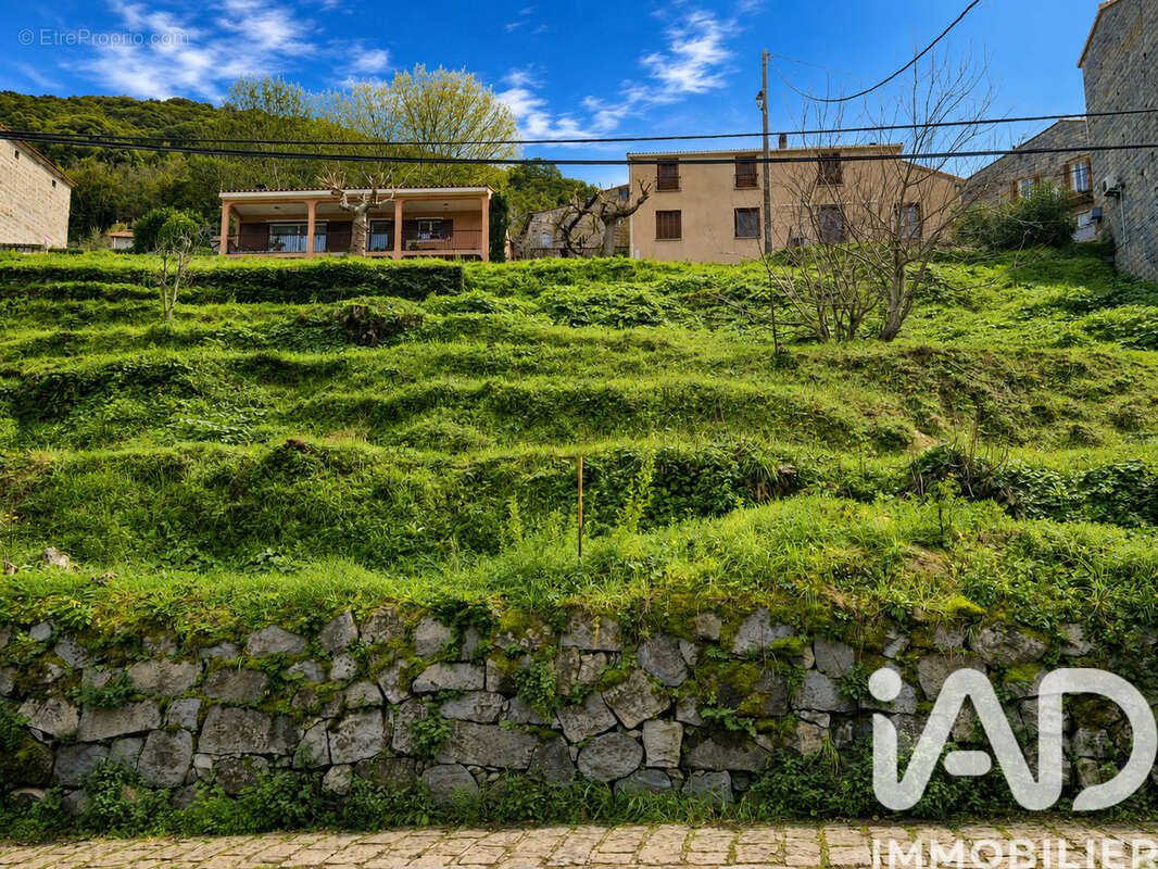 Terrain 750 m² à Sollacaro  - photo 4