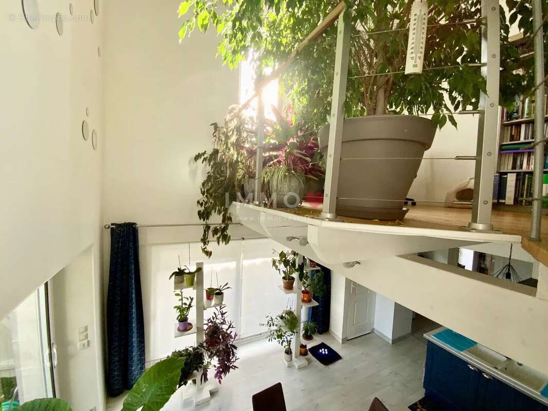 Maison à JUILLAC-LE-COQ