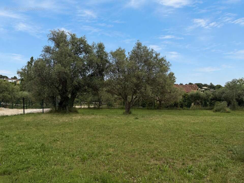 Terrain à MONTAUROUX