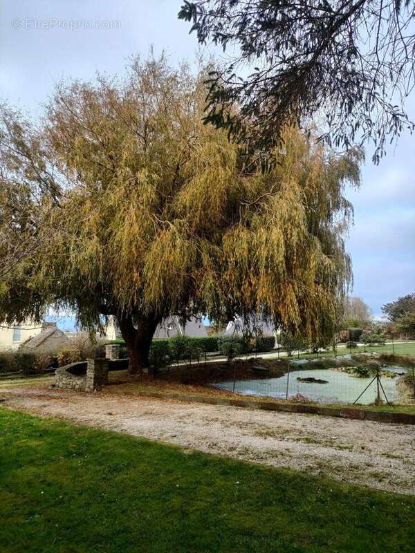 Photo 3 - Maison à TOURLAVILLE