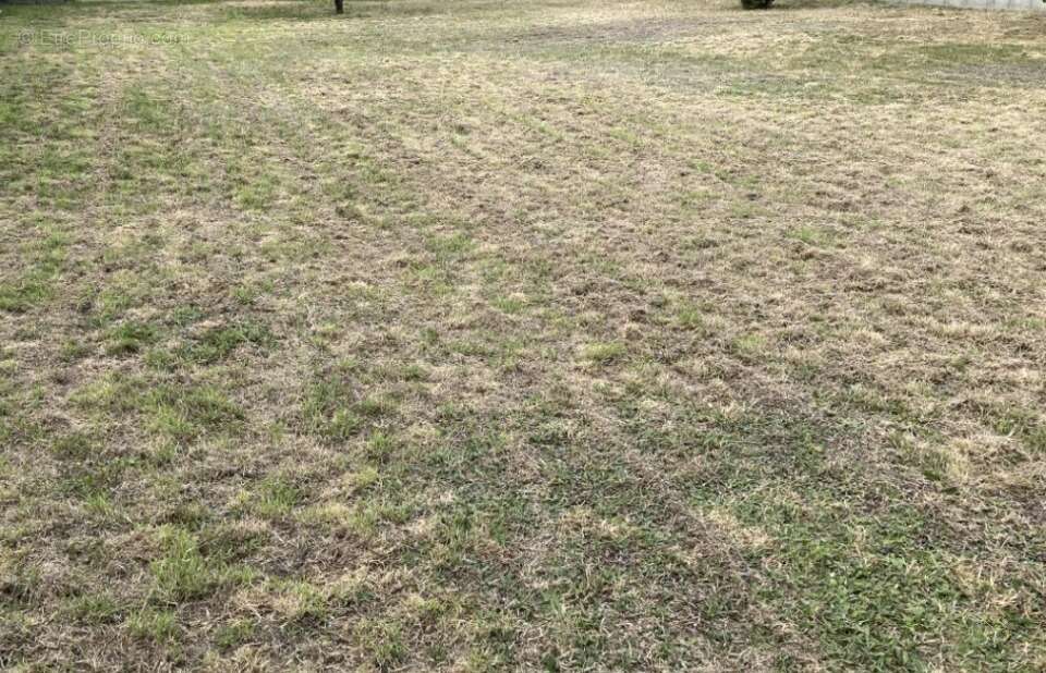 Terrain à PORT-SAINT-PERE