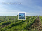 Terrain à SAINT-PAUL