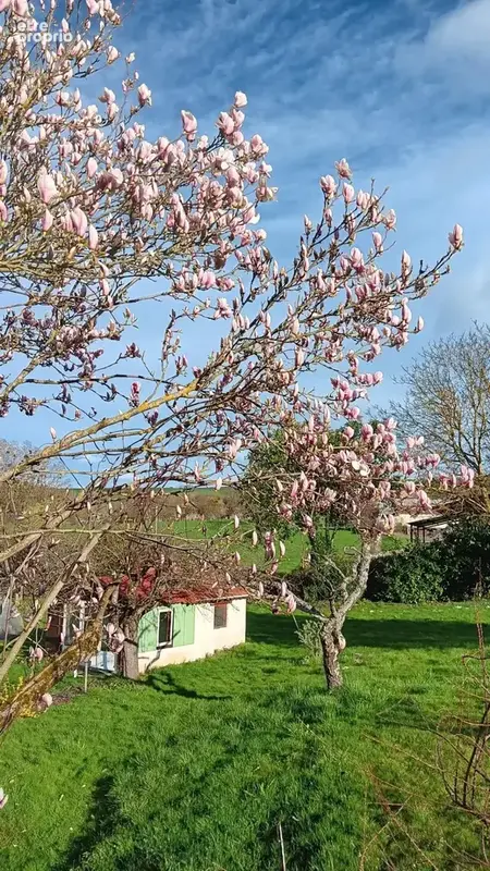 À vendre : maison de caractère avec B&B près d’Autun - photo 42