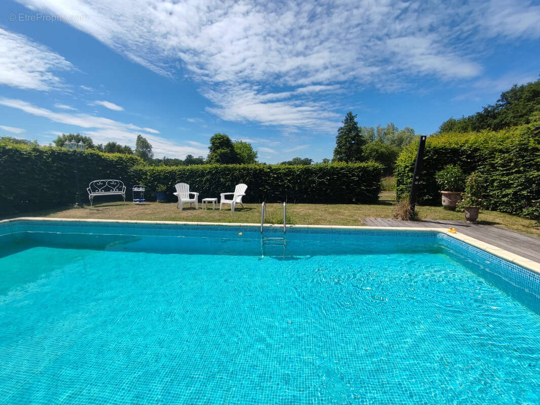 Propriété d'exception au Châtelet : 3,5 ha de nature avec piscine ! - photo 10
