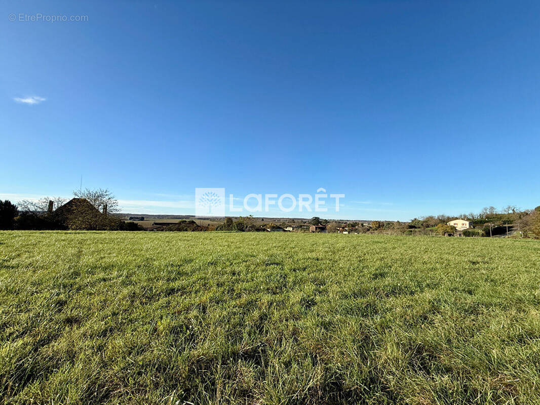 Terrain à MONGAUZY