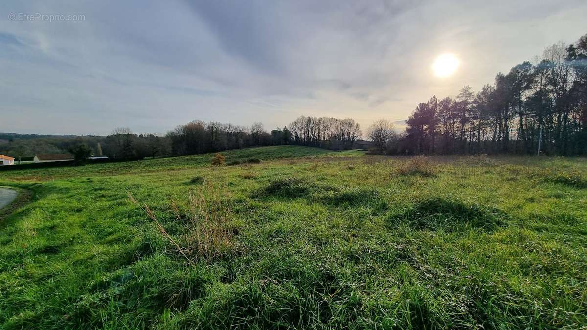Terrain à CAMPSEGRET