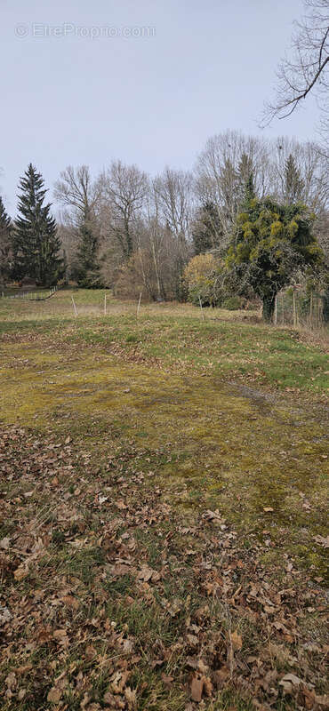 Terrain à CHATEAUNEUF-LA-FORET