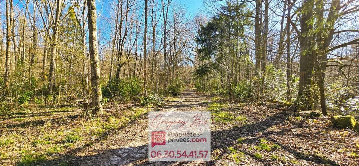 Maison à LA FERTE-SOUS-JOUARRE