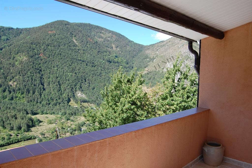 Grande propriete position dominante - photo 5