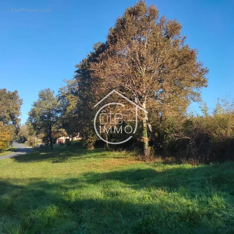 Terrain à MOULEYDIER