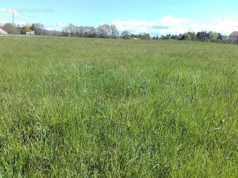 Terrain à TOULON-SUR-ARROUX