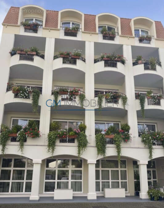 Dax centre   local professionnel / commercial - photo 2