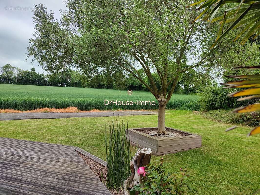 Maison à RUCQUEVILLE