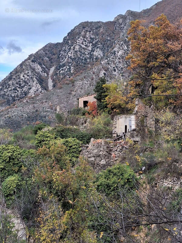 Maison à BREIL-SUR-ROYA