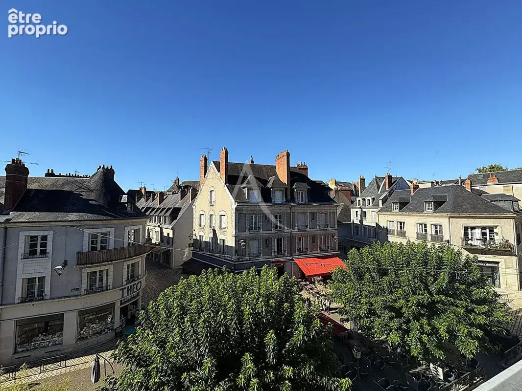 Blois centre ville - photo 12