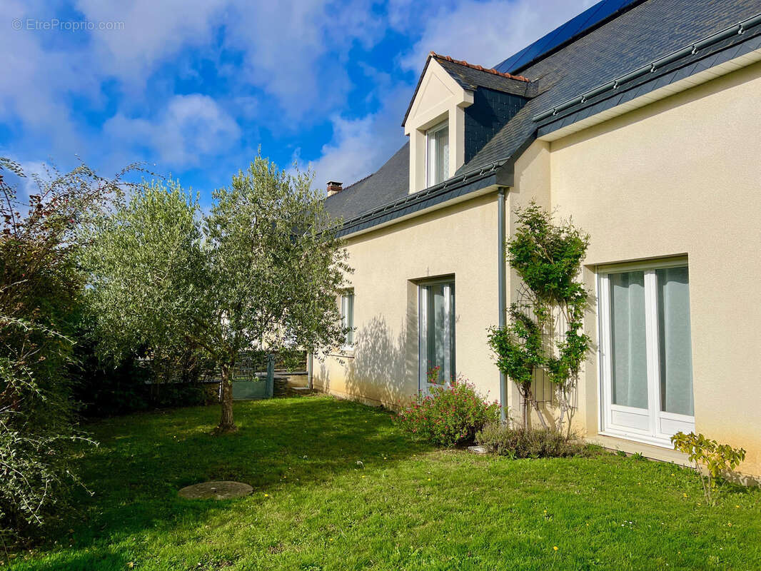 Maison à SAINT-BARTHELEMY-D'ANJOU