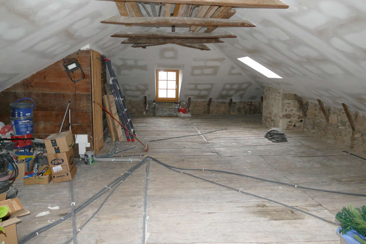 Grande maison rénovée avec atelier ou local commercial, terrasse panoramique et jardin (Mourjou - Puycapel, 15) - photo 29