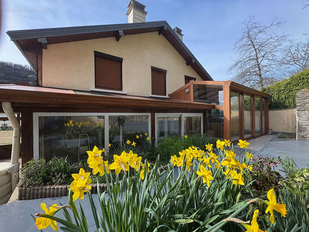 Maison à MONTFAUCON