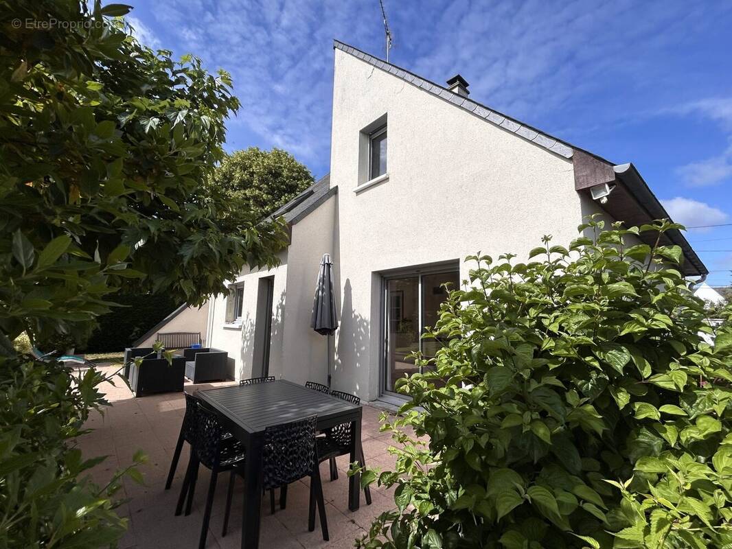 Maison à PELLOUAILLES-LES-VIGNES