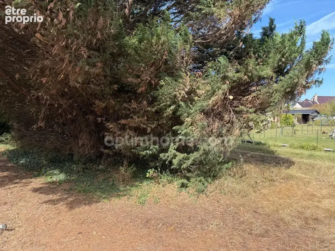 Terrain à WARHEM