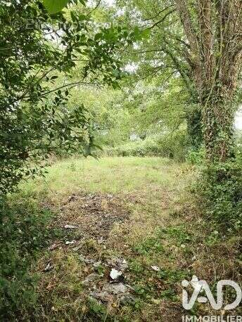 Photo 6 - Maison à HERBIGNAC