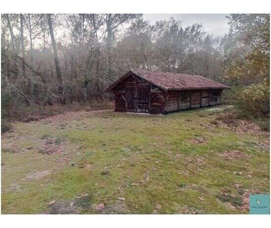 Photo 3 - Maison à MONTFORT