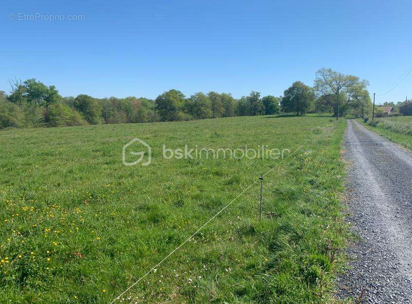 Proche Eauze - Propriété de 13ha en BIO - photo 10