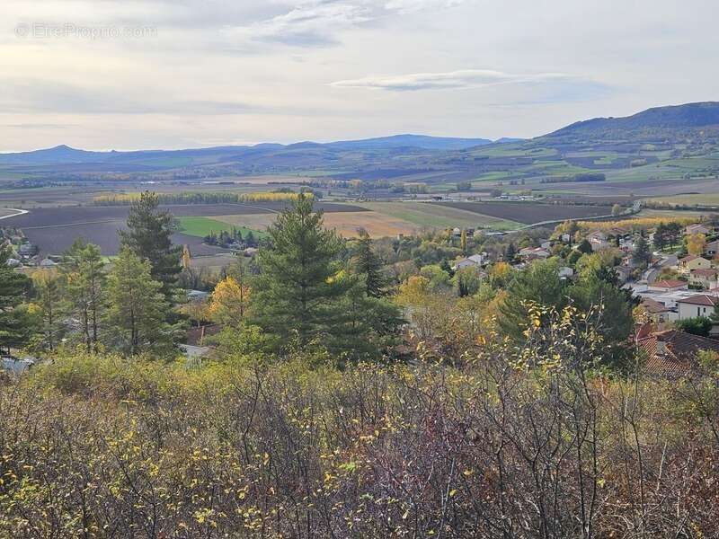Terrain à VEYRE-MONTON