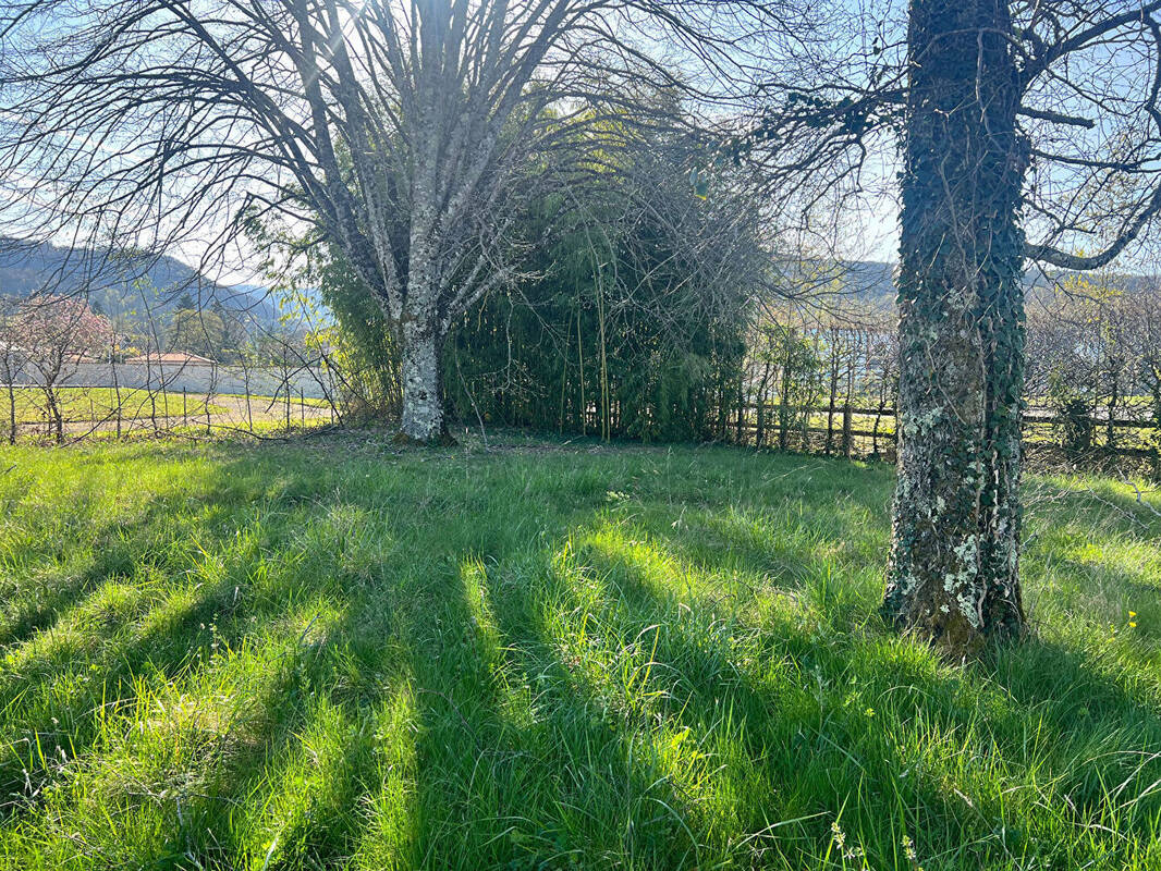 Terrain à JUJURIEUX