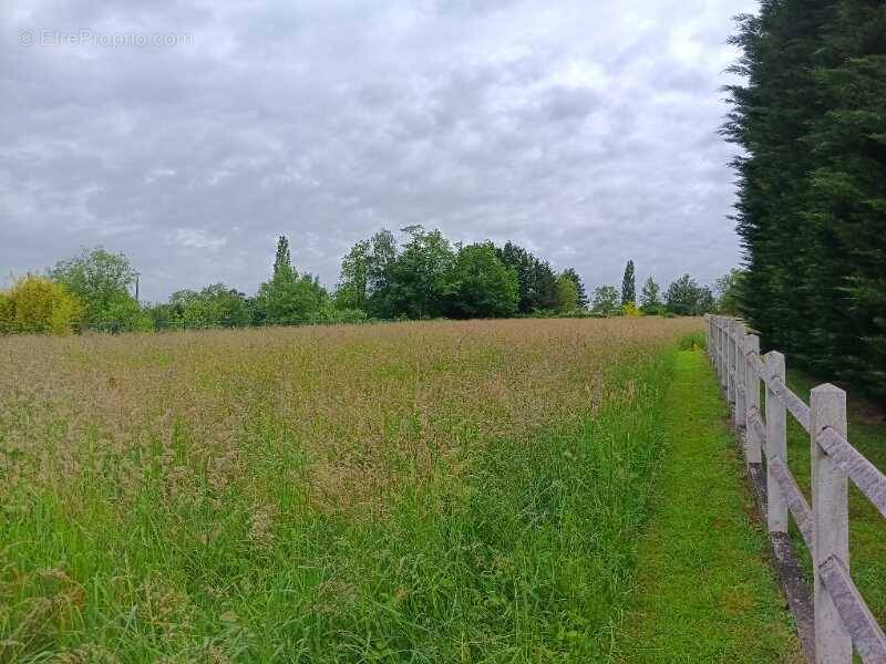 Terrain à VINCELLES