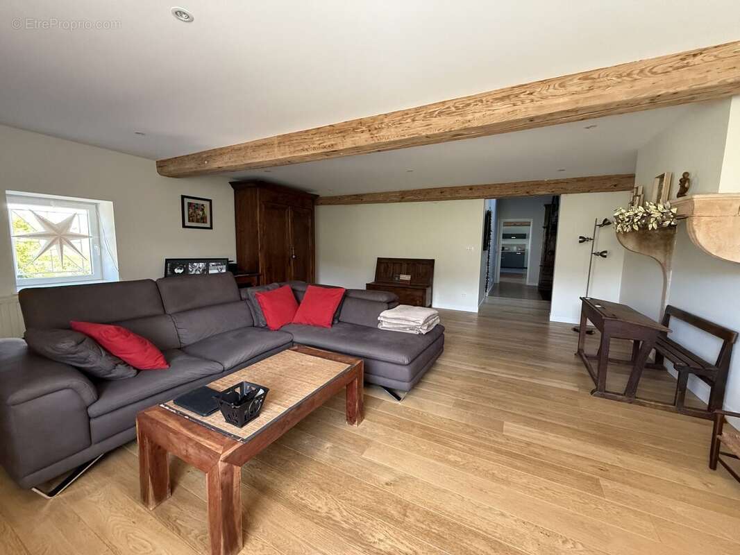 Salon 36 m2  - Maison à SAINT-ETIENNE-LA-VARENNE