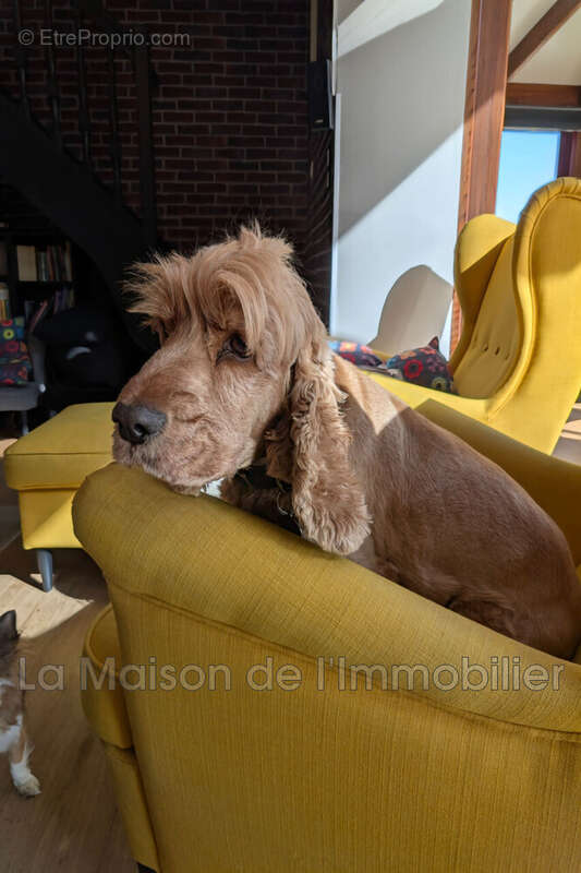 Maison à PONT-DE-L&#039;ARCHE