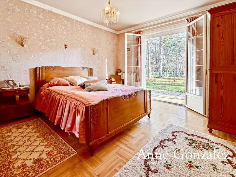 VIENNE EN VAL, à trente minutes d'ORLEANS aux portes de l'Orée de Sologne Propriété à vendre avec 24 hectares boisés et son étan - photo 9