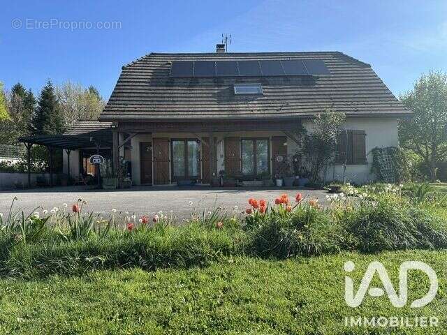 Maison 159 m² à Correze  - photo 6