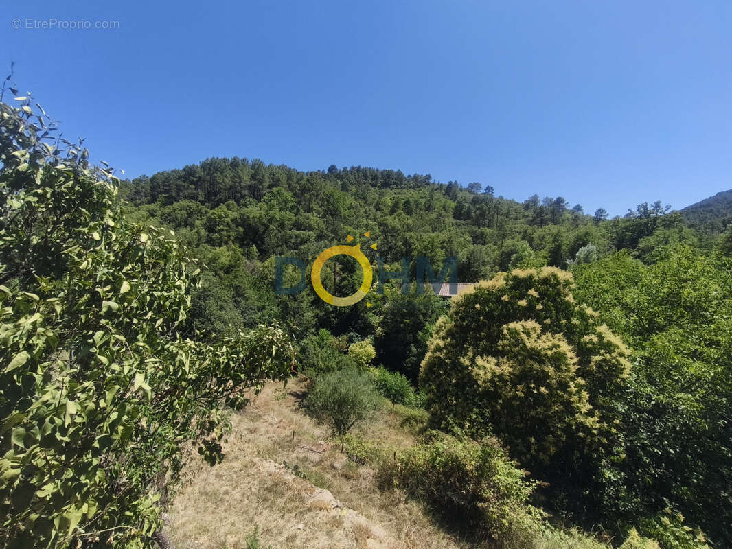 Mas cévenol avec plus de 5 500 m2 de terrain   Branoux-les-Taillades - photo 15