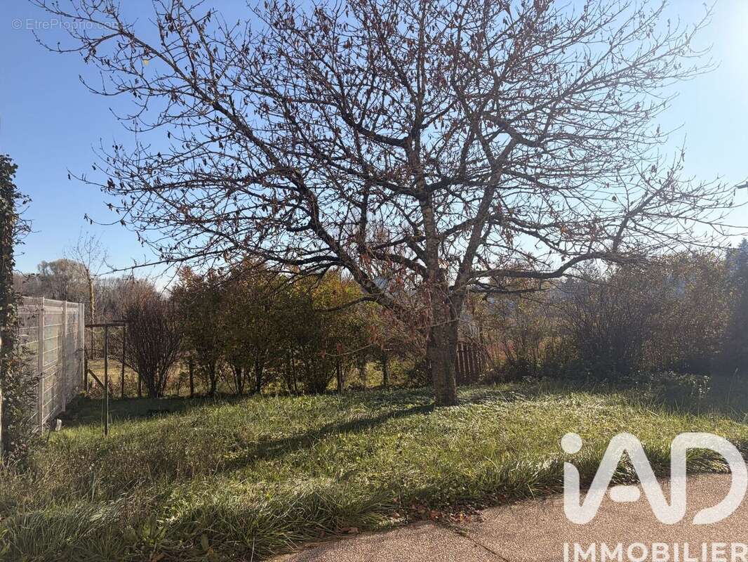 Photo 7 - Maison à VOSNE-ROMANEE