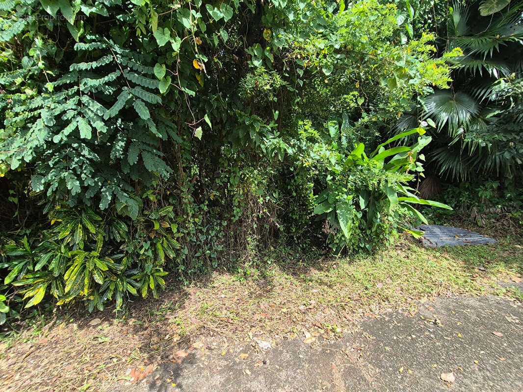 Terrain à LE LAMENTIN