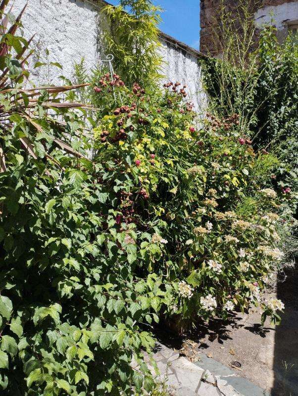 Maison Chevreuse - photo 12