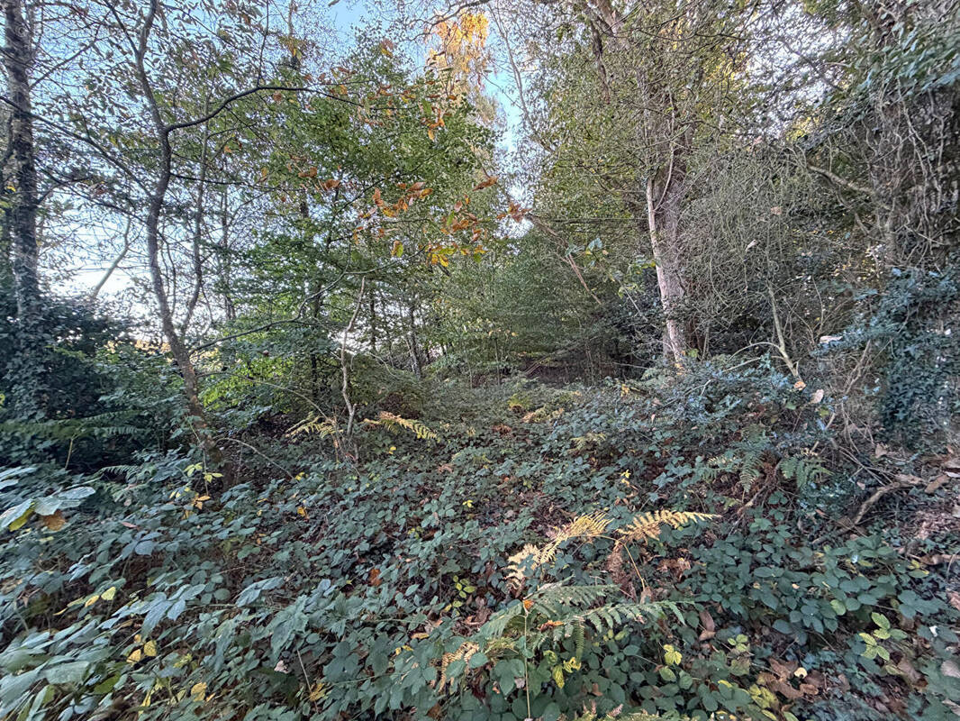 Terrain à GUILLIERS