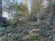 Terrain à GUILLIERS