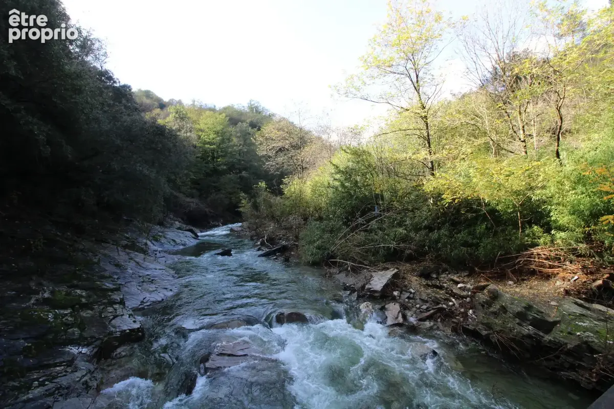 MAS 360 de volume + 25 hectares. - photo 37